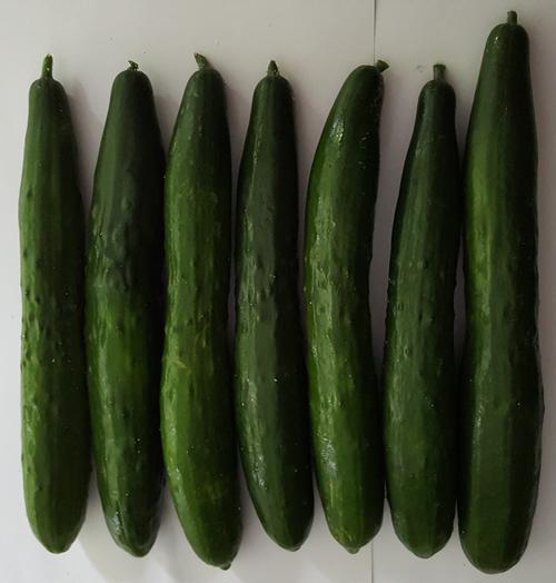 Asian Cucumbers